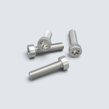 Lågskalliga cylinderskruvar ISO 14580 i rostfritt A2-stål med Torx-spår för montage där låg bygghöjd och säker infästning krävs.